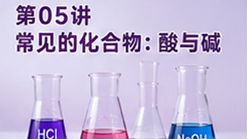 第05讲 常见的化合物：酸与碱
