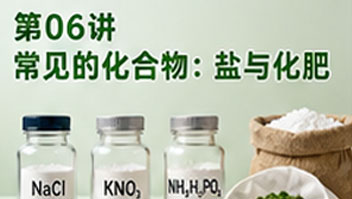 第06讲 常见的化合物：盐与化肥