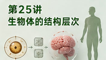 第25讲 生物体的结构层次