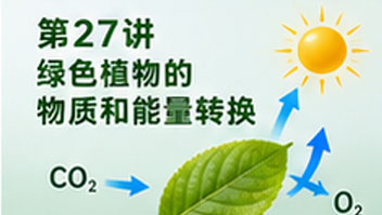 第27讲 绿色植物的物质和能量转换
