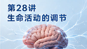 第28讲 生命活动的调节